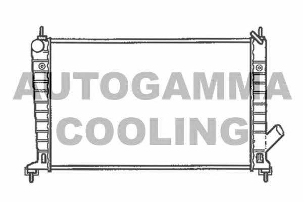 Autogamma 102301 Радиатор охлаждения двигателя 102301: Отличная цена - Купить в Польше на 2407.PL!