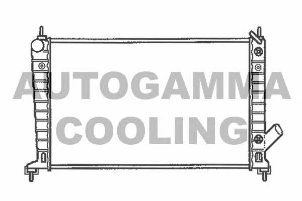 Autogamma 102302 Kühler motorkühlung 102302: Kaufen Sie zu einem guten Preis in Polen bei 2407.PL!