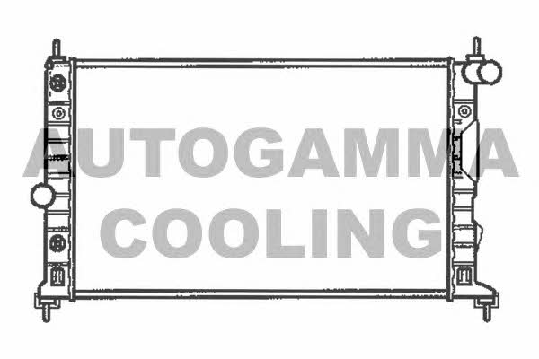Autogamma 102304 Kühler motorkühlung 102304: Kaufen Sie zu einem guten Preis in Polen bei 2407.PL!