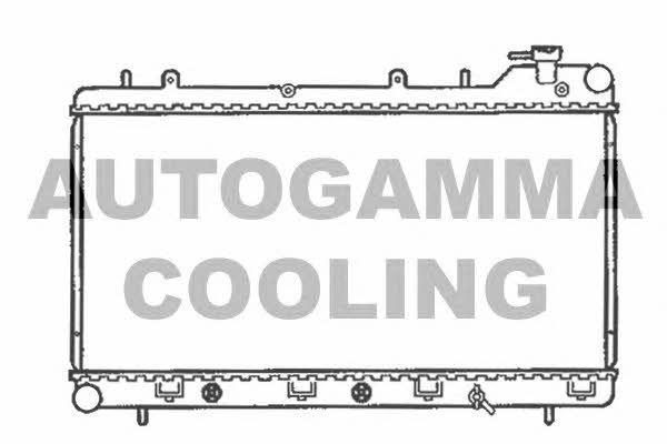 Autogamma 102309 Chłodnica, układ chłodzenia silnika 102309: Dobra cena w Polsce na 2407.PL - Kup Teraz!