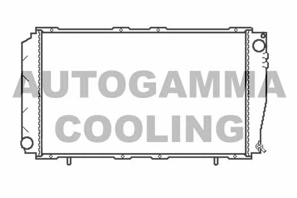 Autogamma 102310 Radiator, engine cooling 102310: Buy near me in Poland at 2407.PL - Good price!