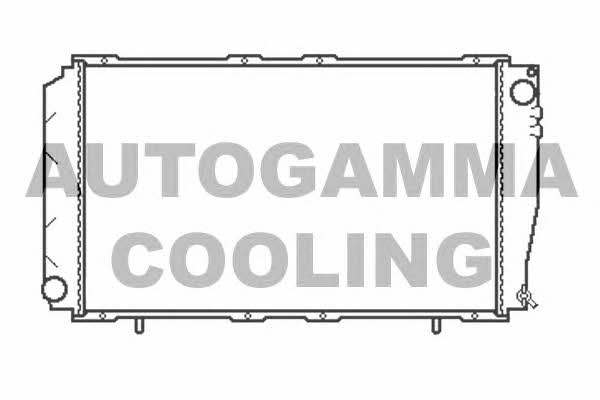 Autogamma 102310 Chłodnica, układ chłodzenia silnika 102310: Dobra cena w Polsce na 2407.PL - Kup Teraz!