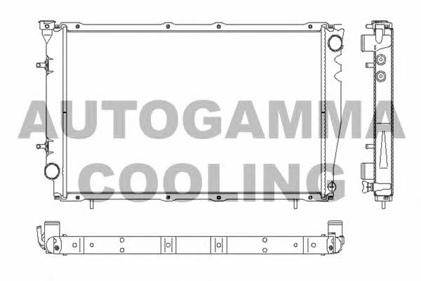 Autogamma 102317 Radiator, engine cooling 102317: Buy near me in Poland at 2407.PL - Good price!