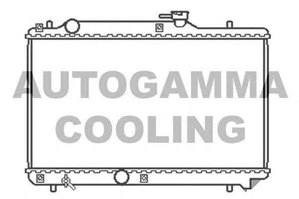 Autogamma 102322 Radiator, engine cooling 102322: Buy near me in Poland at 2407.PL - Good price!