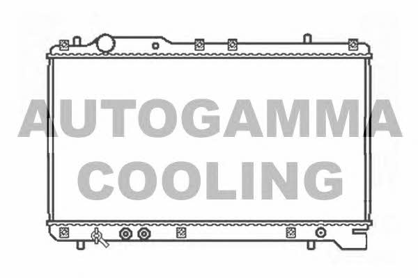 Autogamma 102328 Radiator, engine cooling 102328: Buy near me in Poland at 2407.PL - Good price!