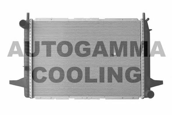 Autogamma 102525 Radiator, engine cooling 102525: Buy near me in Poland at 2407.PL - Good price!