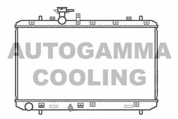 Autogamma 104824 Радиатор охлаждения двигателя 104824: Отличная цена - Купить в Польше на 2407.PL!