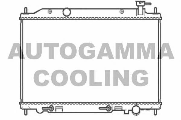 Autogamma 104860 Радиатор охлаждения двигателя 104860: Отличная цена - Купить в Польше на 2407.PL!