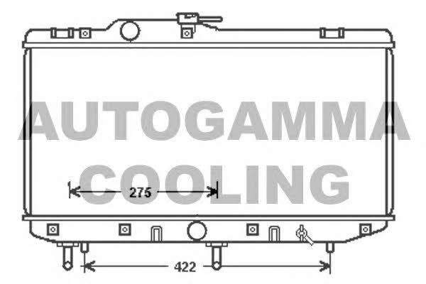 Autogamma 104869 Радіатор охолодження двигуна 104869: Купити у Польщі - Добра ціна на 2407.PL!