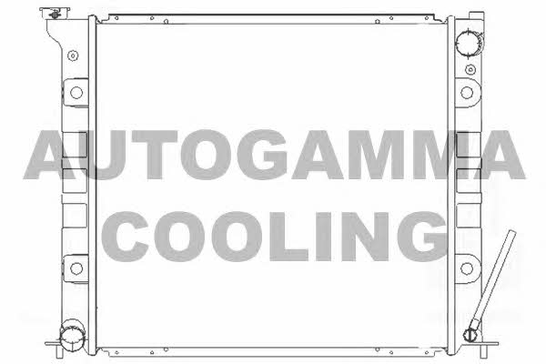 Autogamma 105118 Chłodnica, układ chłodzenia silnika 105118: Dobra cena w Polsce na 2407.PL - Kup Teraz!