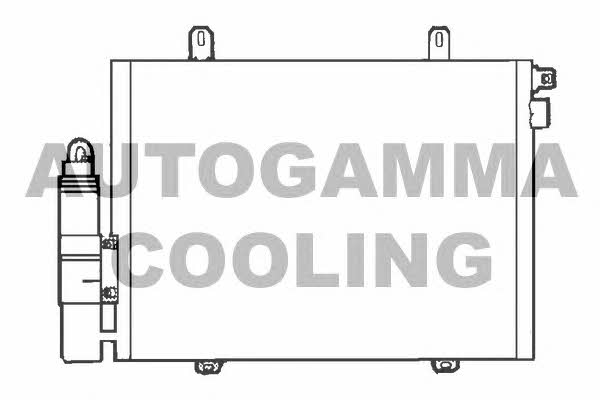 Autogamma 102561 Cooler Module 102561: Buy near me at 2407.PL in Poland at an Affordable price!