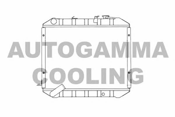 Autogamma 102575 Радіатор охолодження двигуна 102575: Купити у Польщі - Добра ціна на 2407.PL!