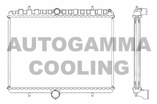 Autogamma 105123 Радіатор охолодження двигуна 105123: Приваблива ціна - Купити у Польщі на 2407.PL!