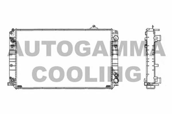Autogamma 105124 Radiator, engine cooling 105124: Buy near me in Poland at 2407.PL - Good price!