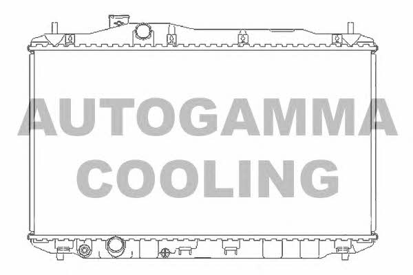 Autogamma 105135 Радиатор охлаждения двигателя 105135: Отличная цена - Купить в Польше на 2407.PL!