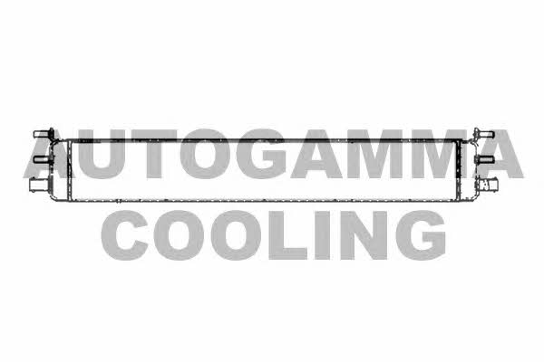 Autogamma 105171 Радиатор охлаждения двигателя 105171: Отличная цена - Купить в Польше на 2407.PL!