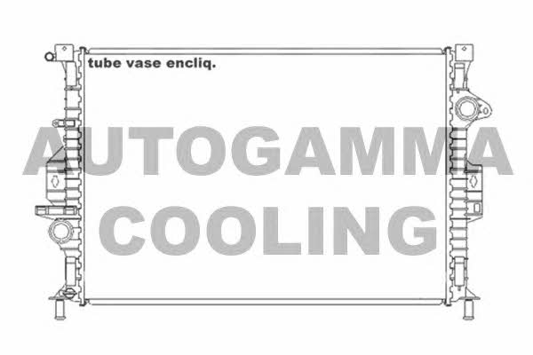 Autogamma 105206 Chłodnica, układ chłodzenia silnika 105206: Dobra cena w Polsce na 2407.PL - Kup Teraz!