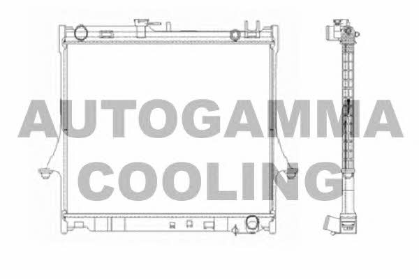 Autogamma 105207 Radiator, engine cooling 105207: Buy near me in Poland at 2407.PL - Good price!
