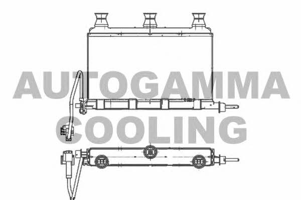 Autogamma 105230 Радиатор отопителя салона 105230: Отличная цена - Купить в Польше на 2407.PL!