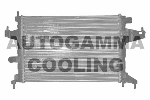 Autogamma 102849 Радіатор охолодження двигуна 102849: Купити у Польщі - Добра ціна на 2407.PL!