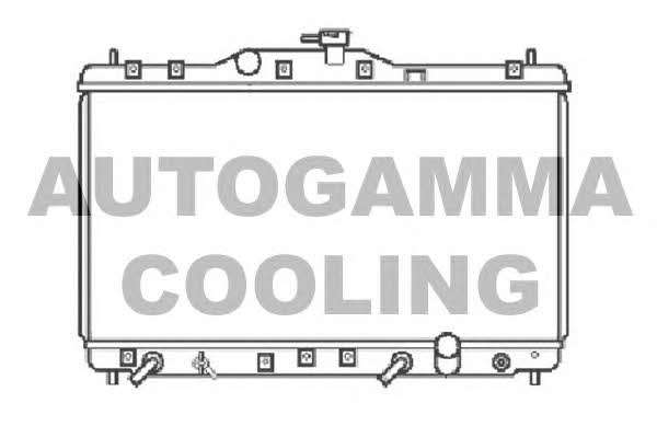 Autogamma 102856 Radiator, engine cooling 102856: Buy near me in Poland at 2407.PL - Good price!