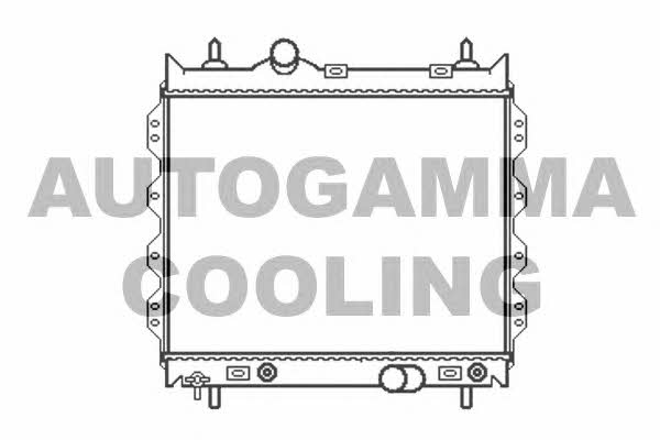 Autogamma 102861 Radiator, engine cooling 102861: Buy near me in Poland at 2407.PL - Good price!