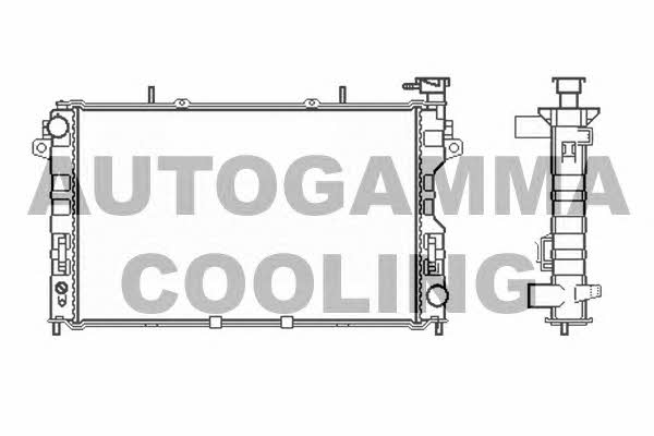 Autogamma 102862 Радіатор охолодження двигуна 102862: Приваблива ціна - Купити у Польщі на 2407.PL!