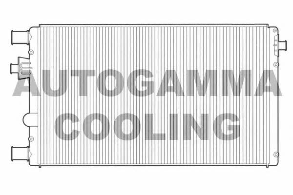 Autogamma 102867 Chłodnica, układ chłodzenia silnika 102867: Dobra cena w Polsce na 2407.PL - Kup Teraz!