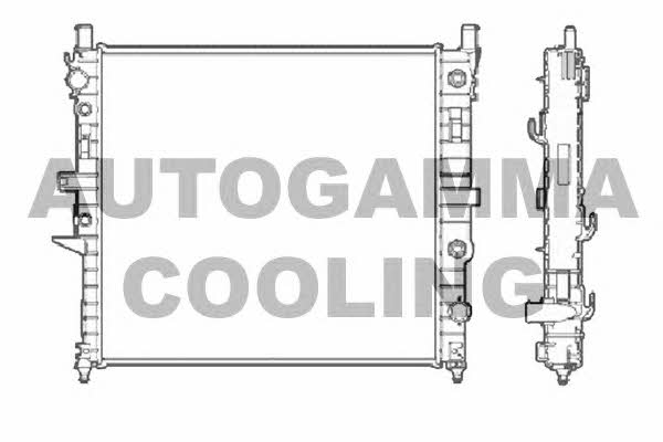 Autogamma 102882 Radiator, engine cooling 102882: Buy near me in Poland at 2407.PL - Good price!