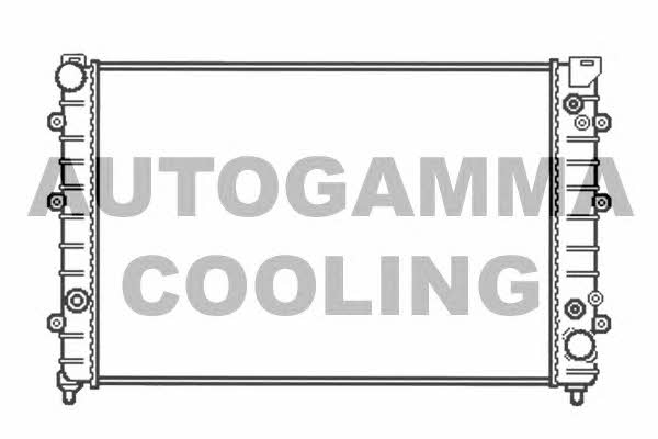 Autogamma 102893 Radiator, engine cooling 102893: Buy near me in Poland at 2407.PL - Good price!