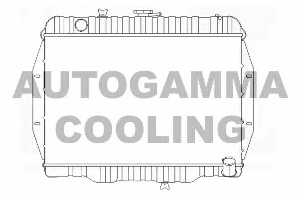 Autogamma 102902 Радіатор охолодження двигуна 102902: Приваблива ціна - Купити у Польщі на 2407.PL!