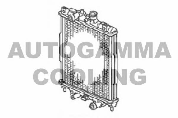 Autogamma 102907 Radiator, engine cooling 102907: Buy near me in Poland at 2407.PL - Good price!