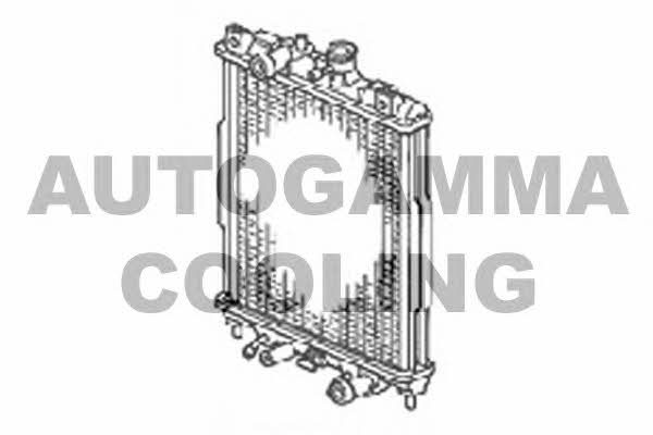 Autogamma 102908 Radiator, engine cooling 102908: Buy near me in Poland at 2407.PL - Good price!