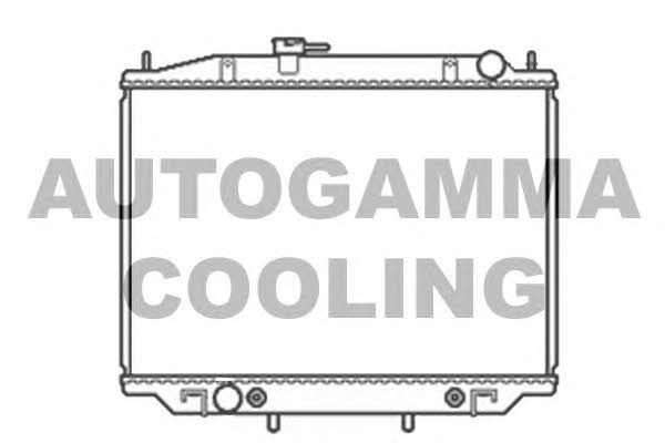 Autogamma 102932 Radiator, engine cooling 102932: Buy near me in Poland at 2407.PL - Good price!