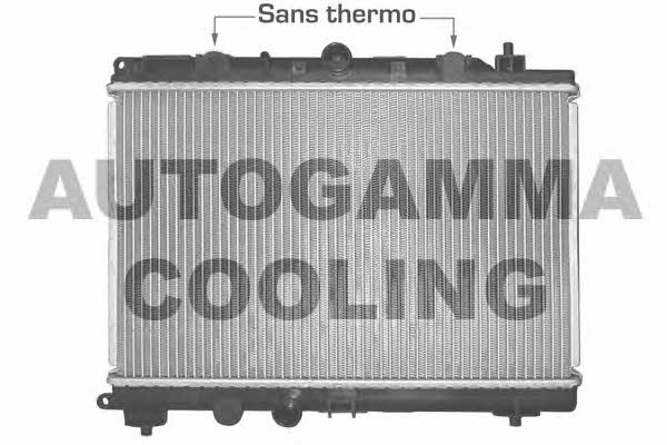 Autogamma 102945 Радіатор охолодження двигуна 102945: Приваблива ціна - Купити у Польщі на 2407.PL!