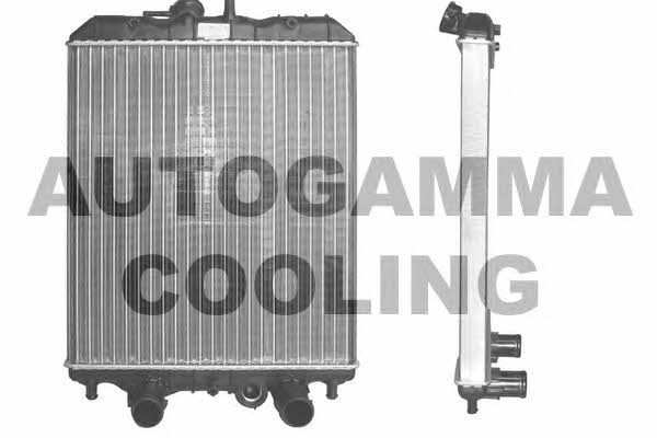 Autogamma 102959 Радіатор охолодження двигуна 102959: Приваблива ціна - Купити у Польщі на 2407.PL!