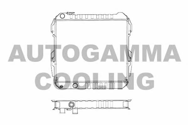 Autogamma 102967 Radiator, engine cooling 102967: Buy near me in Poland at 2407.PL - Good price!