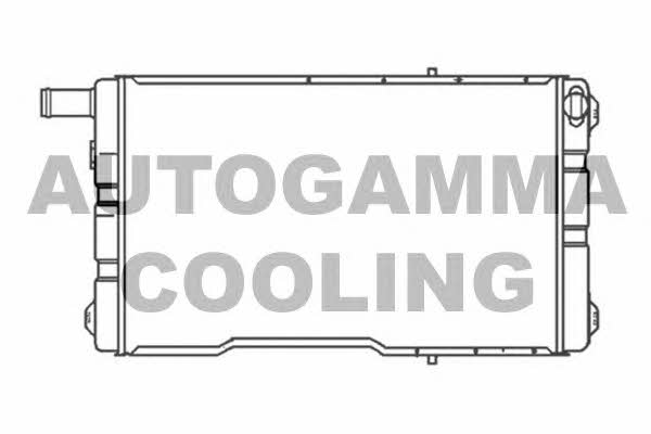 Autogamma 102968 Радиатор охлаждения двигателя 102968: Отличная цена - Купить в Польше на 2407.PL!