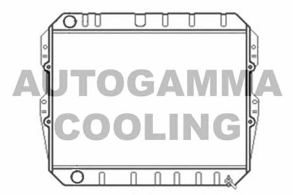 Autogamma 102974 Радіатор охолодження двигуна 102974: Приваблива ціна - Купити у Польщі на 2407.PL!