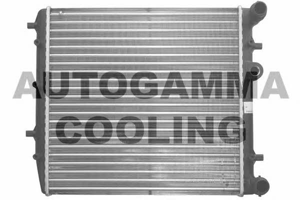 Autogamma 102978 Радіатор охолодження двигуна 102978: Купити у Польщі - Добра ціна на 2407.PL!
