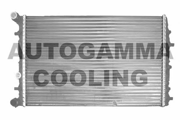 Autogamma 102979 Радіатор охолодження двигуна 102979: Приваблива ціна - Купити у Польщі на 2407.PL!
