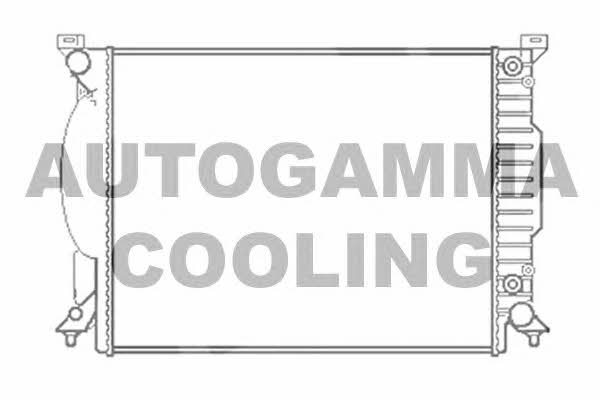 Autogamma 102983 Radiator, engine cooling 102983: Buy near me in Poland at 2407.PL - Good price!