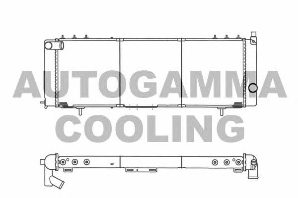 Autogamma 103039 Radiator, engine cooling 103039: Buy near me in Poland at 2407.PL - Good price!