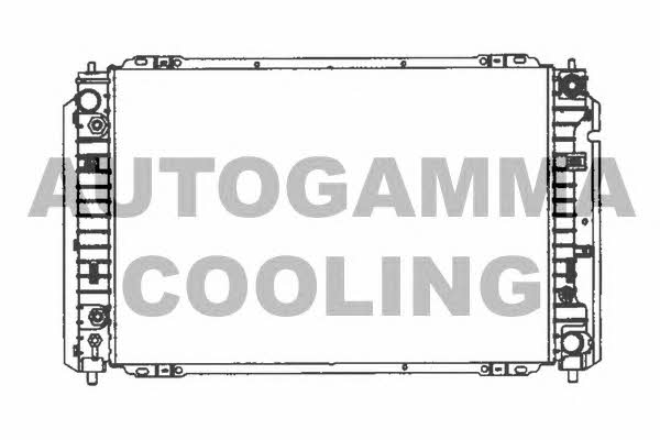 Autogamma 103075 Radiator, engine cooling 103075: Buy near me in Poland at 2407.PL - Good price!