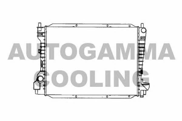 Autogamma 103077 Radiator, engine cooling 103077: Buy near me at 2407.PL in Poland at an Affordable price!