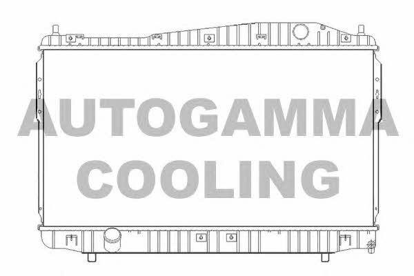Autogamma 105391 Radiator, engine cooling 105391: Buy near me in Poland at 2407.PL - Good price!