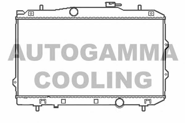 Autogamma 105411 Радіатор охолодження двигуна 105411: Приваблива ціна - Купити у Польщі на 2407.PL!
