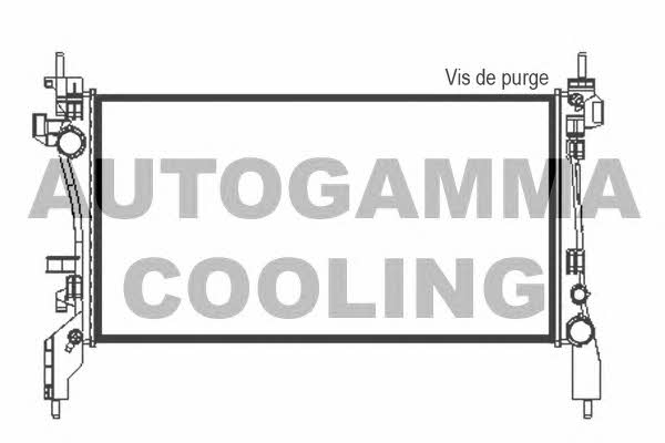 Autogamma 105430 Kühler motorkühlung 105430: Kaufen Sie zu einem guten Preis in Polen bei 2407.PL!