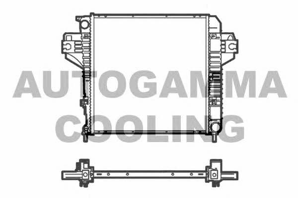 Autogamma 105487 Chłodnica, układ chłodzenia silnika 105487: Dobra cena w Polsce na 2407.PL - Kup Teraz!