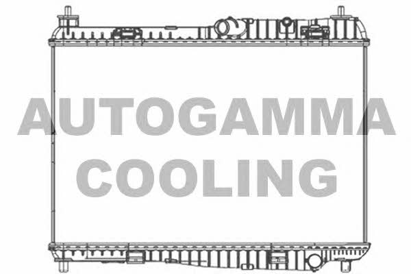 Autogamma 105522 Chłodnica, układ chłodzenia silnika 105522: Dobra cena w Polsce na 2407.PL - Kup Teraz!